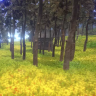 uNature - GPU Grass and Interactable Trees